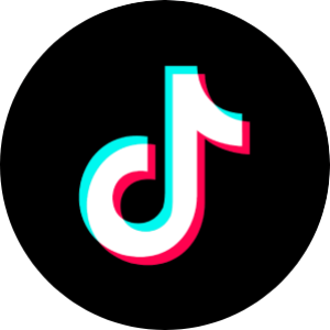 Go to tiktok.com (@dylan_andersonracing subpage)